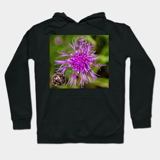 Purple mountain cornflower Hoodie